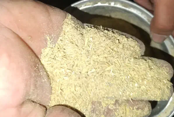 فروش سوب برنج ویژه دام و طیور|لوازم جانبی حیوانات|آستانه اشرفیه, |دیوار