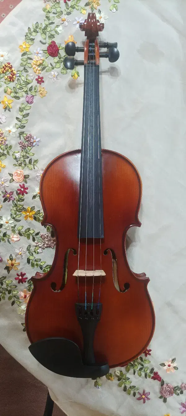 ویالون|ویولن|رشت, چله خانه|دیوار