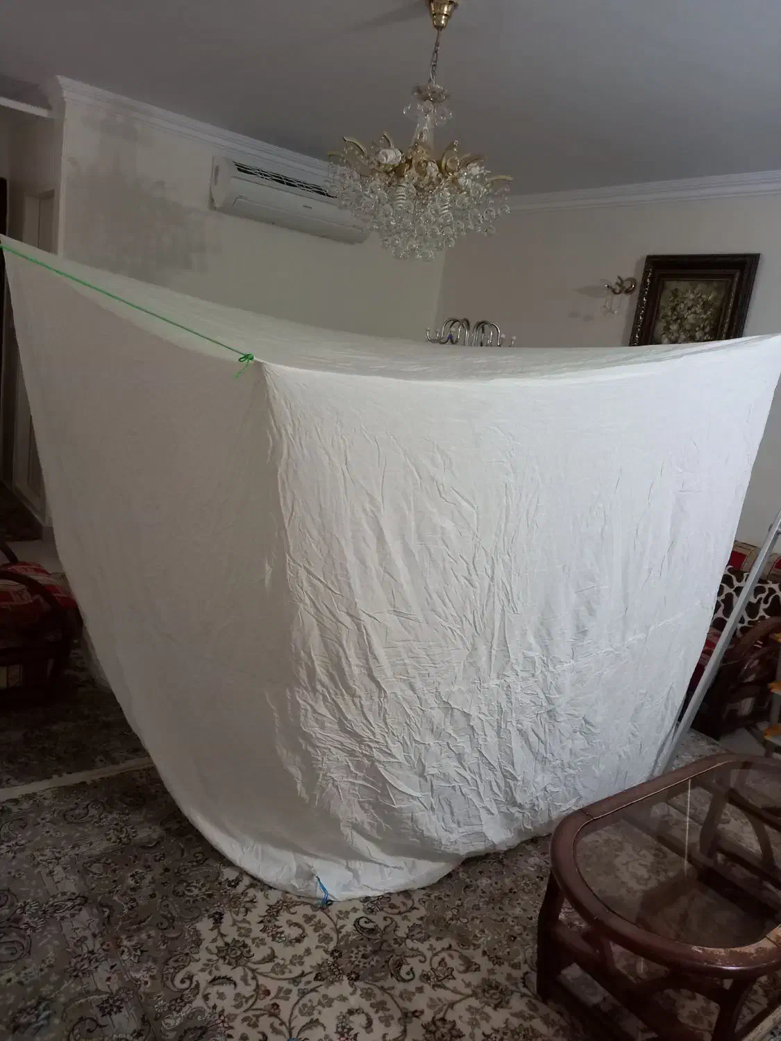 پشه بند‌‌|کوهنوردی و کمپینگ|تهران, پونک|دیوار