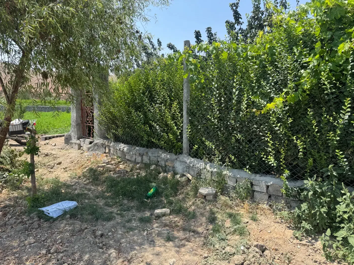 باغ با فنس و دیوار لب قایقرانی(ذوب آهن)|فروش زمین و ملک کلنگی|فولادشهر, زاینده رود|دیوار