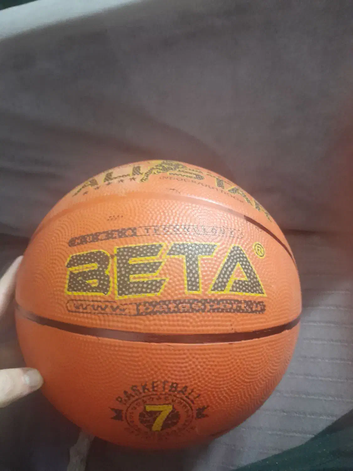 توپ بسکتبال|ورزش‌های توپی|بجنورد, |دیوار