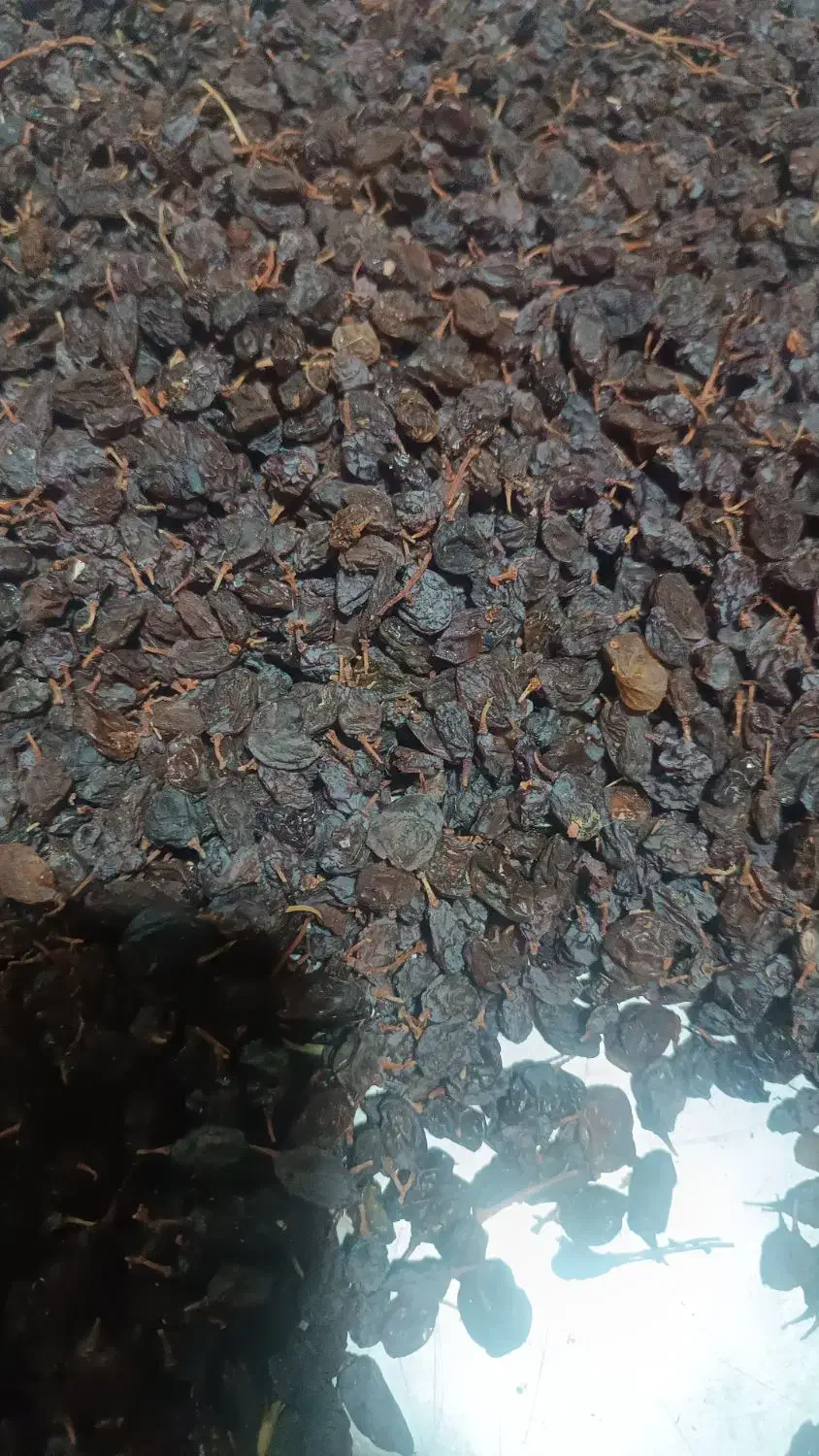 کشمش آفتابی|خوردنی و آشامیدنی|خانمیرزا, |دیوار