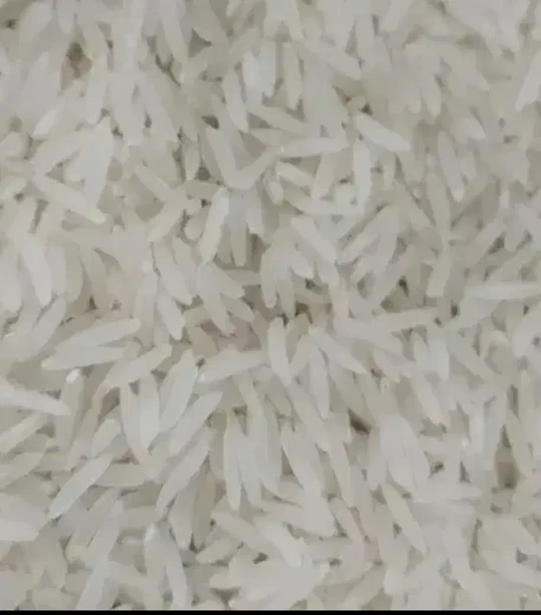 برنج فجر سوزنی|خوردنی و آشامیدنی|آق قلا, |دیوار