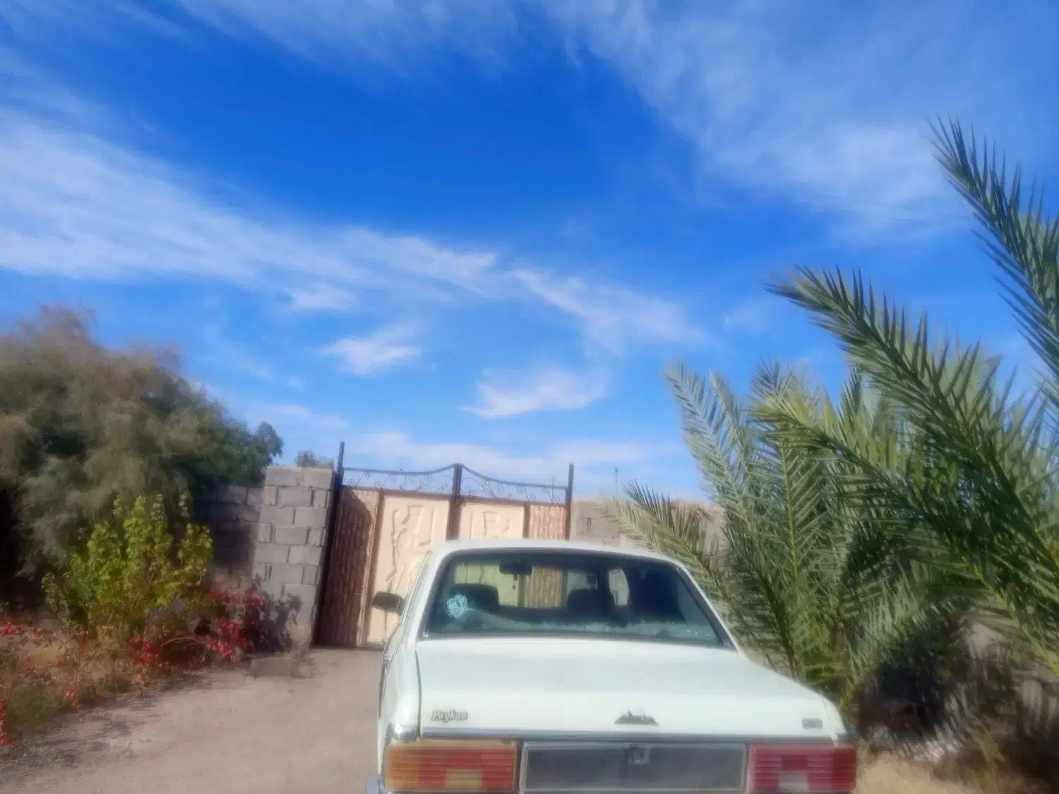 110میلون|خودرو سواری و وانت|فهرج, |دیوار