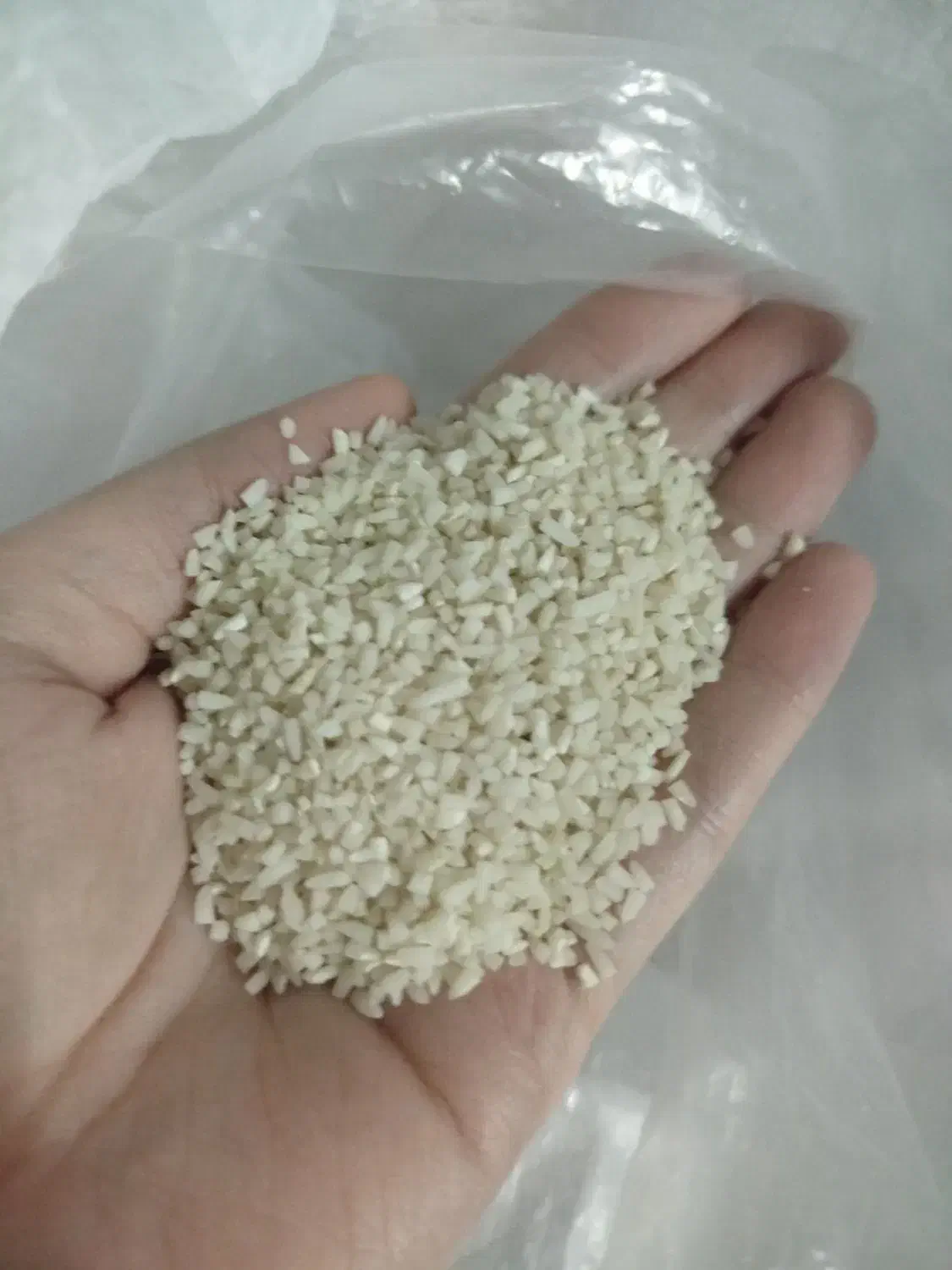 نیم دونه هاشمی استانه|خوردنی و آشامیدنی|لاهیجان, شهید آوینی|دیوار