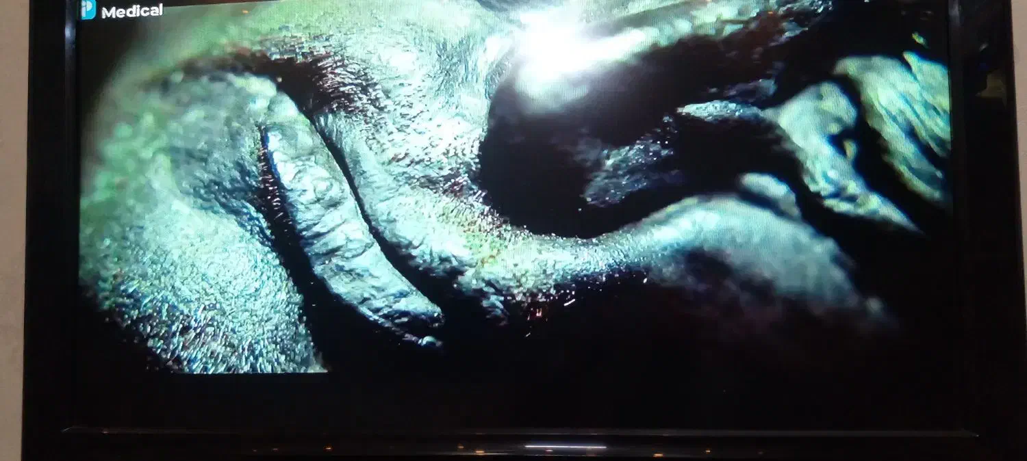 پاناسونیک ۳۲اینچ|تلویزیون و پروژکتور|تربت‌حیدریه, یحیی آباد|دیوار