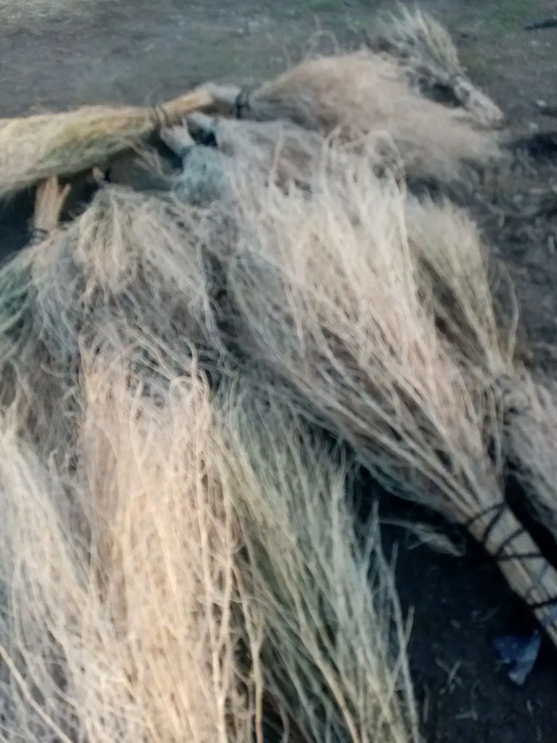 جارو|لوازم نظافت|فیروزآباد (آذربایجان), |دیوار