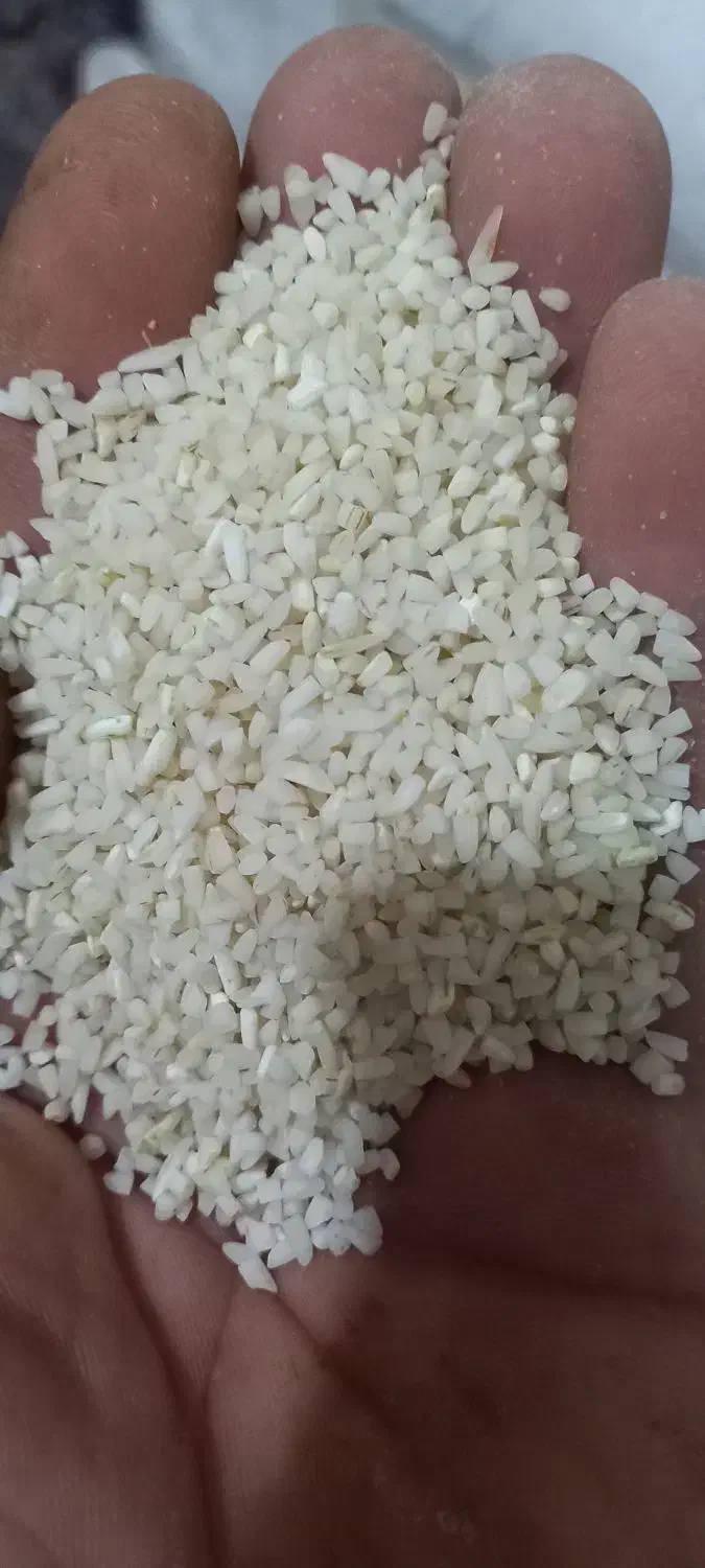 برنج.سالم و نیم دانه|خوردنی و آشامیدنی|بروجرد, |دیوار