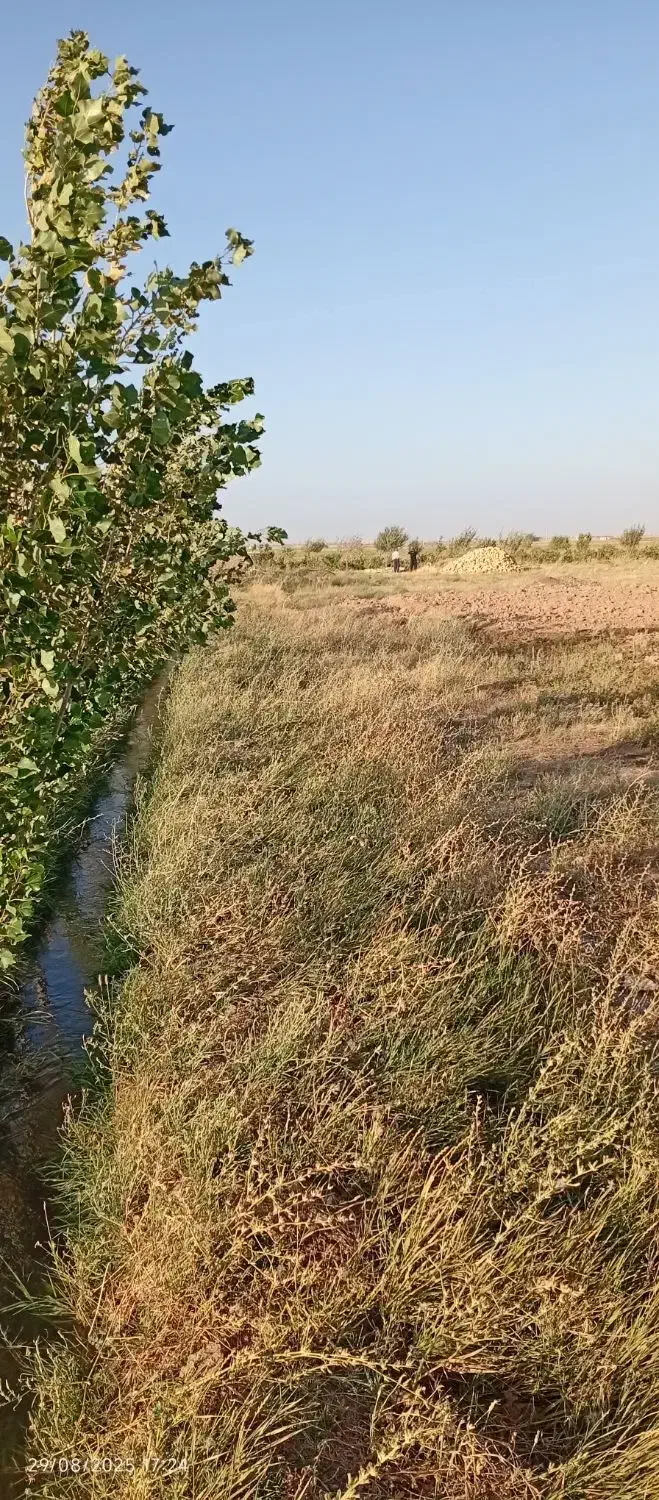 زمین کشاورزی و باغ|فروش زمین و ملک کلنگی|دشتابی, |دیوار