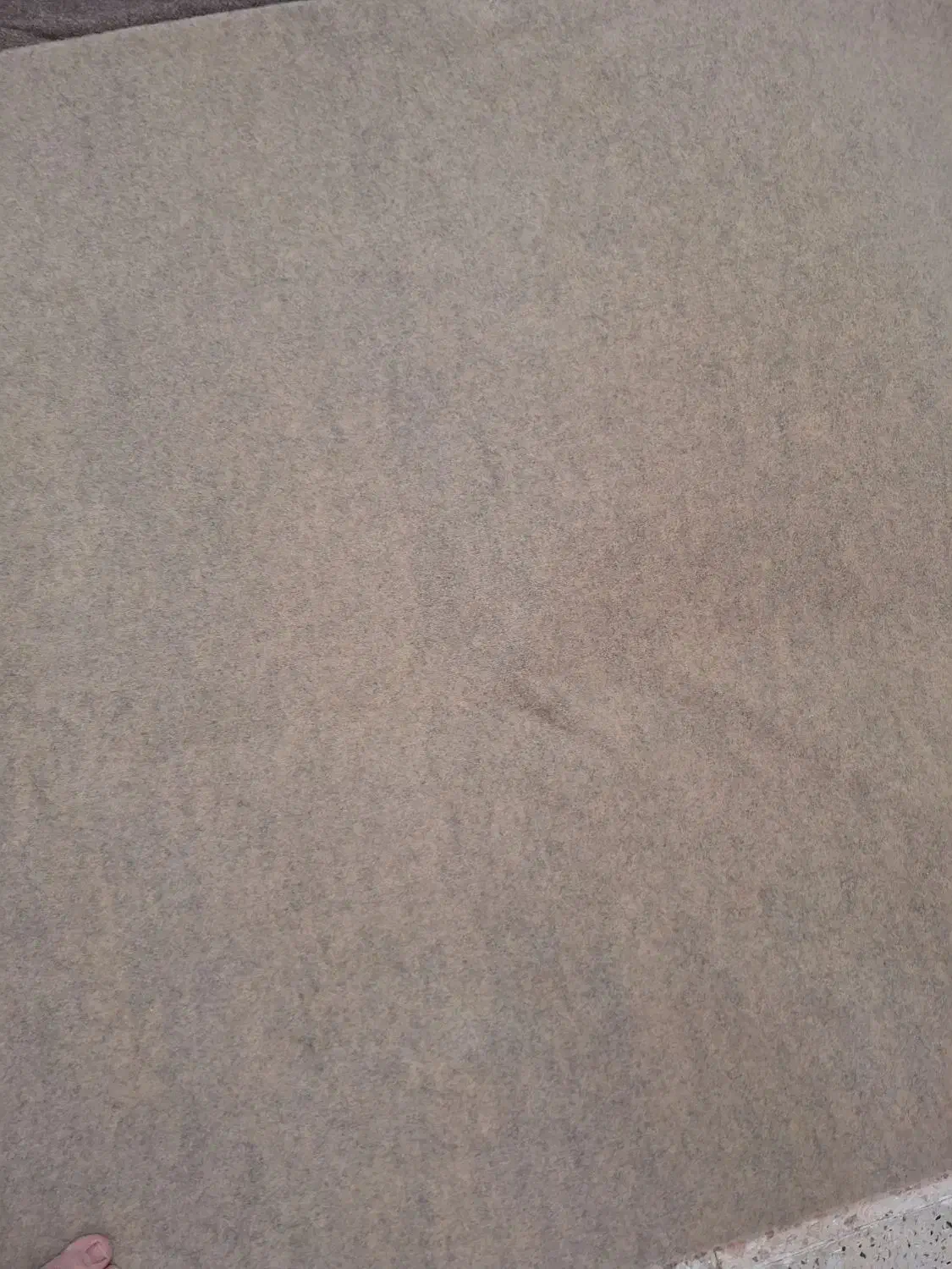 موکت نو پالاز|موکت|تهران, تختی|دیوار