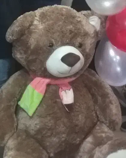 خرس قهوه ای بزرگ|اسباب‌‌بازی|قدس, شهرک فرزان|دیوار