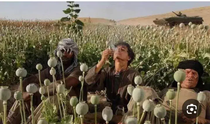 بهبود ترک اعتیاد سنتی وصنعتی|خدمات آرایشگری و زیبایی|گلستان (تهران), |دیوار