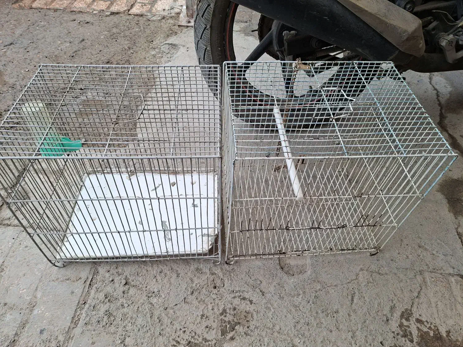 قفس|لوازم جانبی حیوانات|مشهد, بلال|دیوار