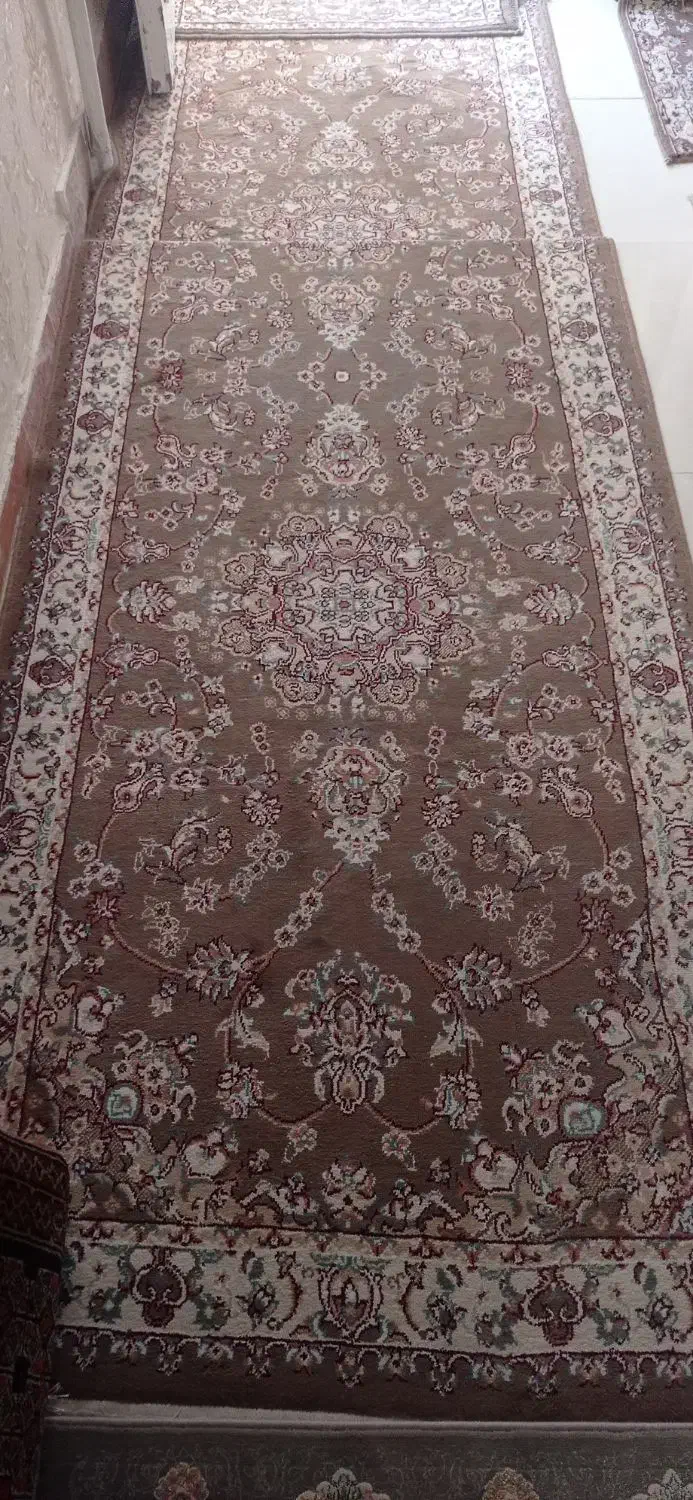 کناره سه متری|فرش|تربت‌حیدریه, باغ سلطانی|دیوار