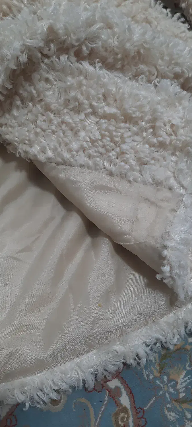 پالتو استر دار|لباس|تربت‌حیدریه, کاشانی|دیوار