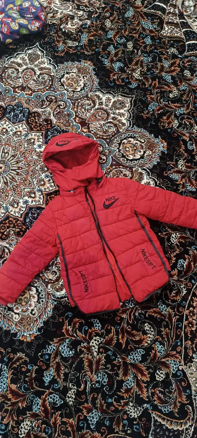 تعدادی کاپشن و پالتو|لباس|دورود, |دیوار