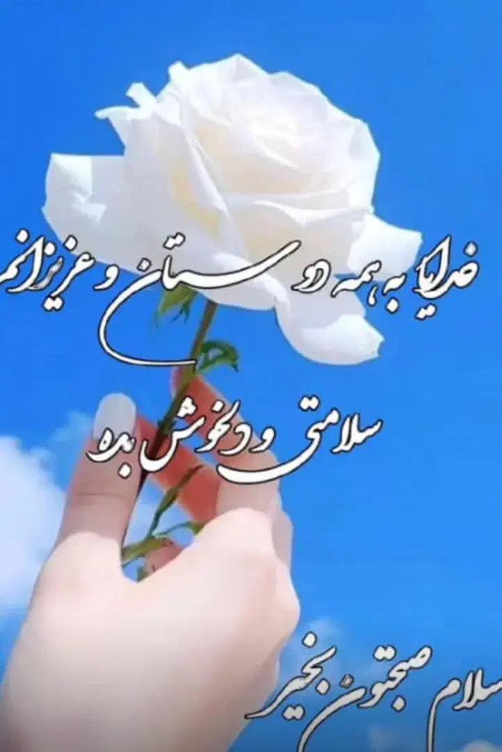 اسباب بازی|اسباببازی|شیراز, حومه شیراز|دیوار