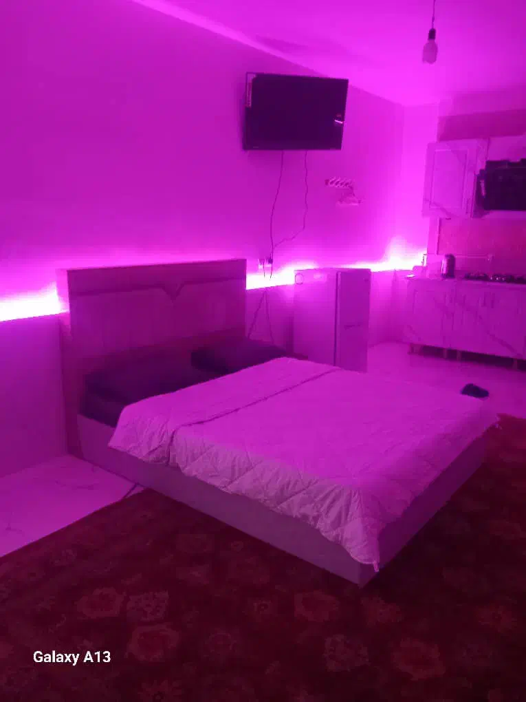 واحد روزانه|اجارهٔ کوتاهمدت آپارتمان و سوئیت|بندرعباس, |دیوار