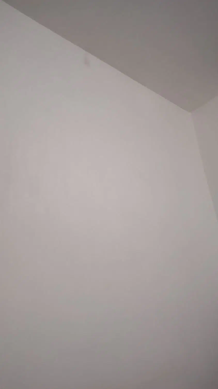 گچ کاری و لکه گیری|خدمات پیشه و مهارت|ایذه, |دیوار