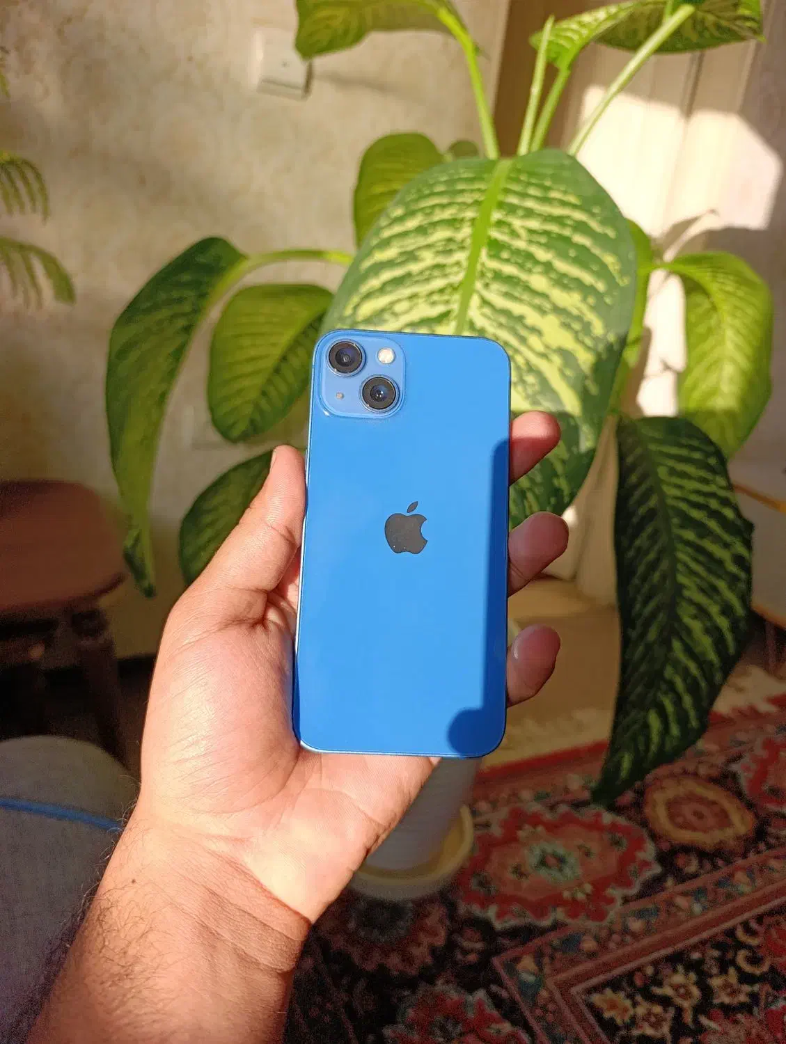 آیفون 13 نرمال zaa|موبایل|آزادشهر, |دیوار