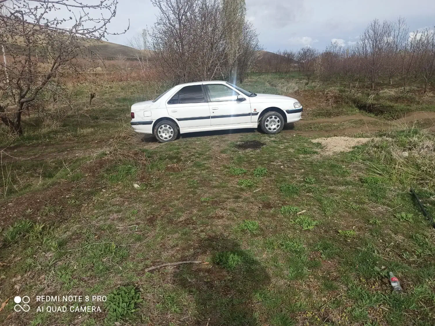 سواری دربست|خدمات حمل و نقل|انزل, |دیوار