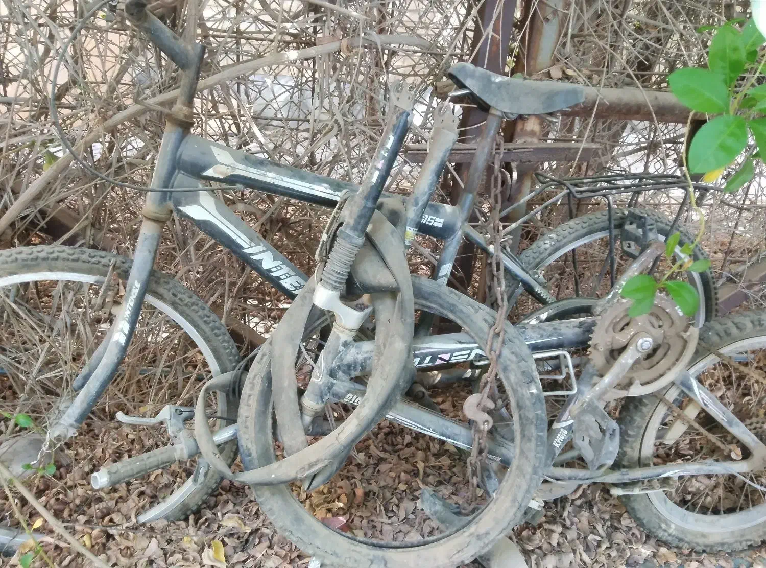 دوچرخه 24|دوچرخه، اسکیت، اسکوتر|بندر ماهشهر, |دیوار