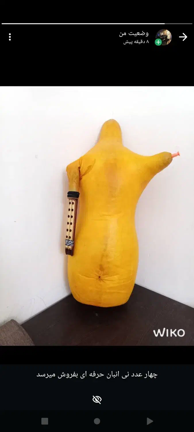 چن عدد نی انبان خوب و حرفه ای|سازهای بادی|داراب, |دیوار