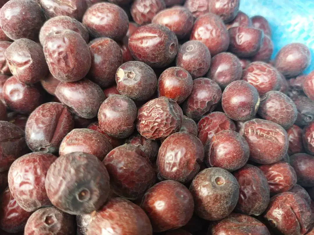 مغز پسته .بنه.بادام. تخمه هندوانه. عناب|عمدهفروشی|قائن, |دیوار