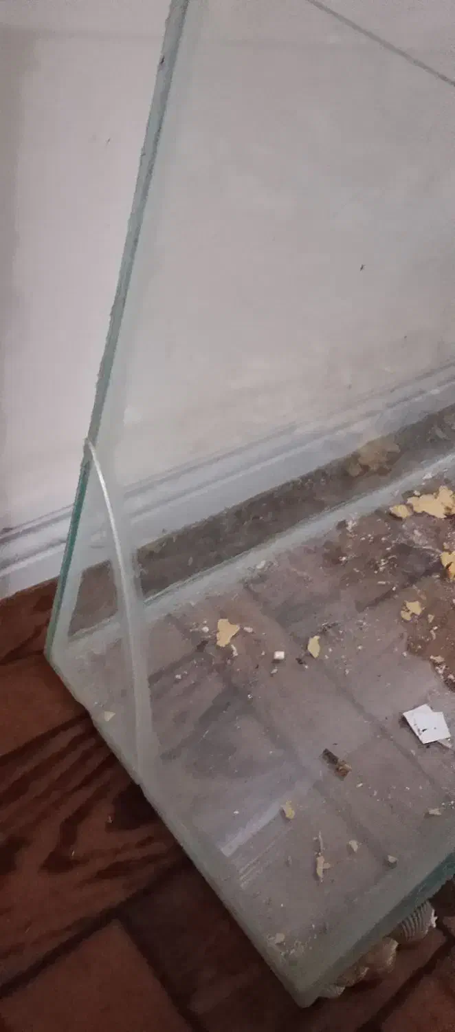 آکواریوم بزرگ|ماهی|سندرک, |دیوار