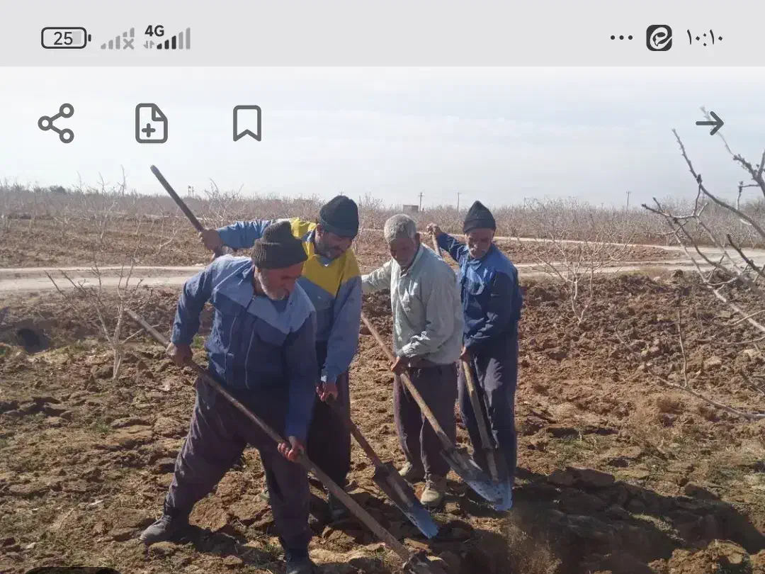 نیازمند کارگر در روستا|استخدام معماری، عمران و ساختمانی|عقدا, |دیوار