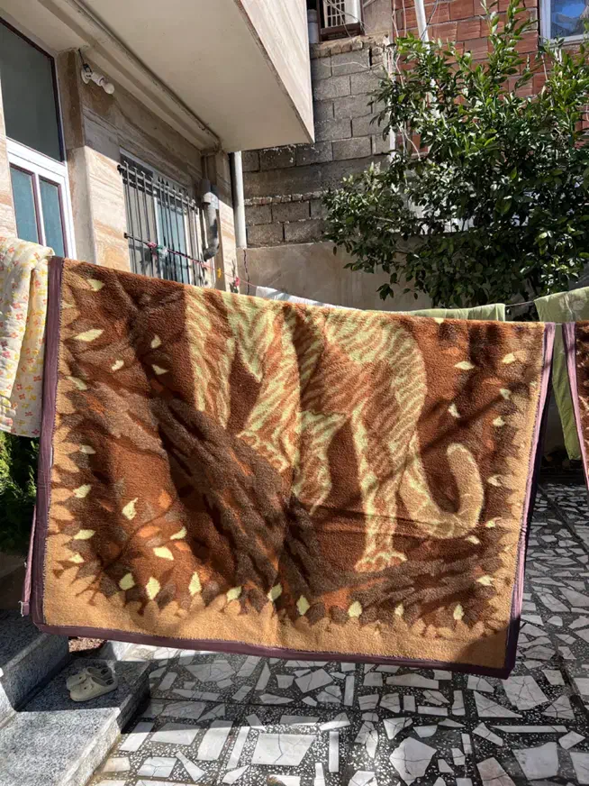 پتو پلنگی|رختخواب، بالش، پتو|ساری, |دیوار