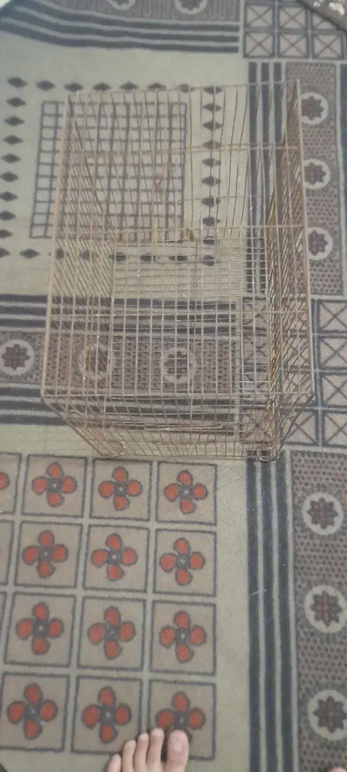 قفس|لوازم جانبی حیوانات|خوی, |دیوار