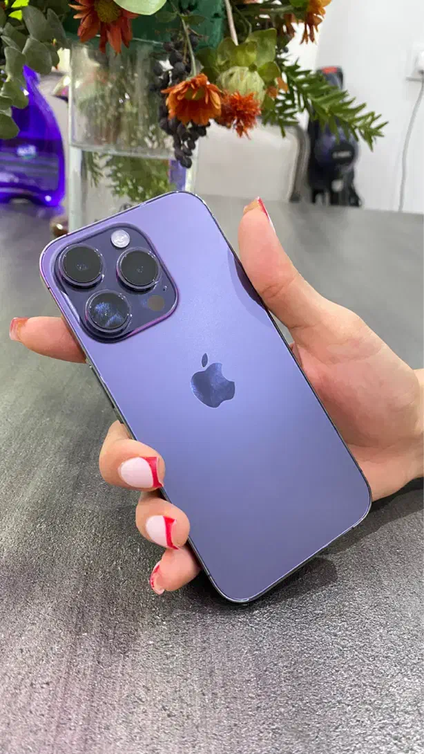 آیفون ۱۴پرو|موبایل|فردیس, فردیس|دیوار