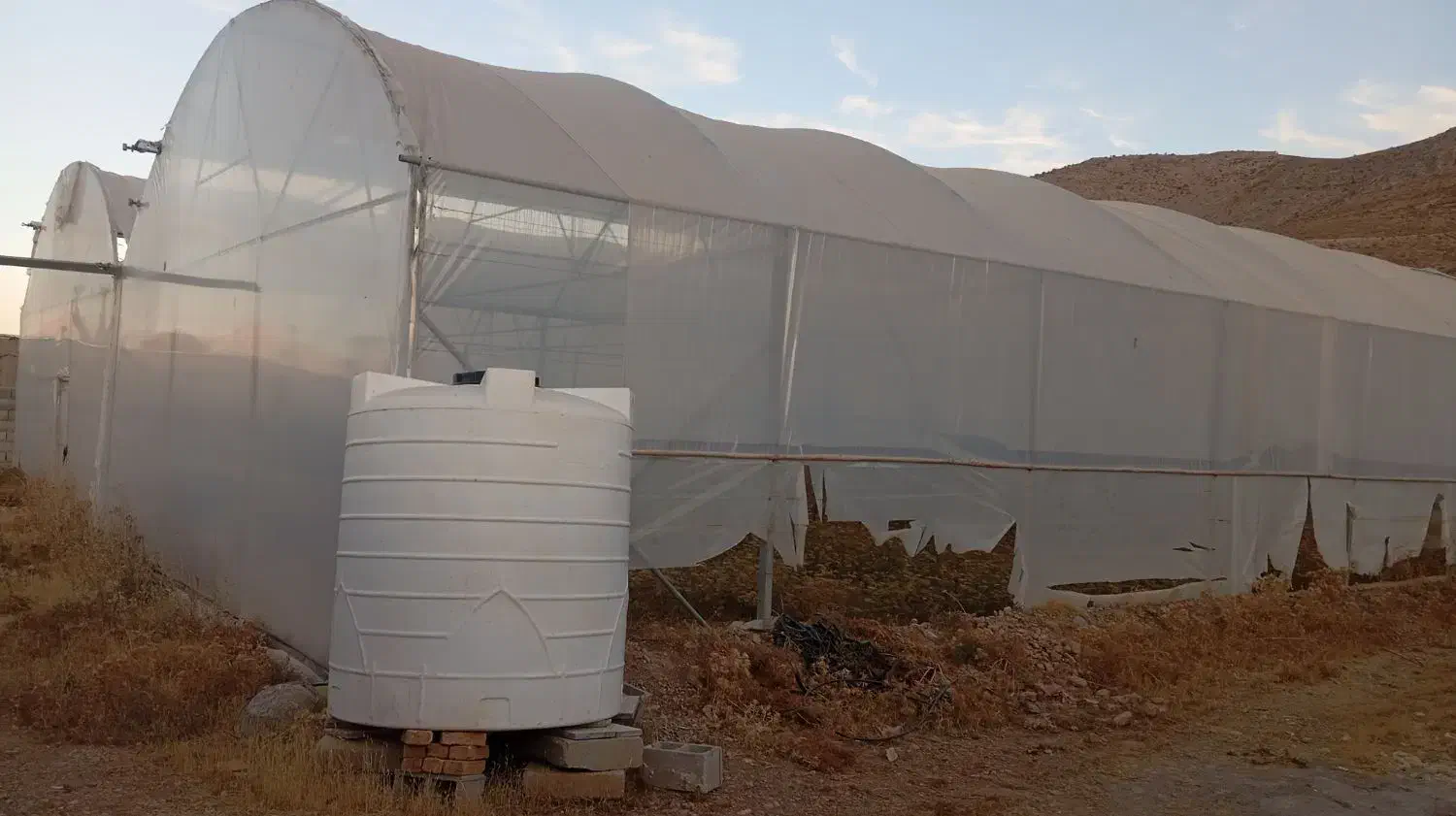 فروش گلخانه ۴۰۰متری|ماشین‌آلات صنعتی|اقلید, |دیوار