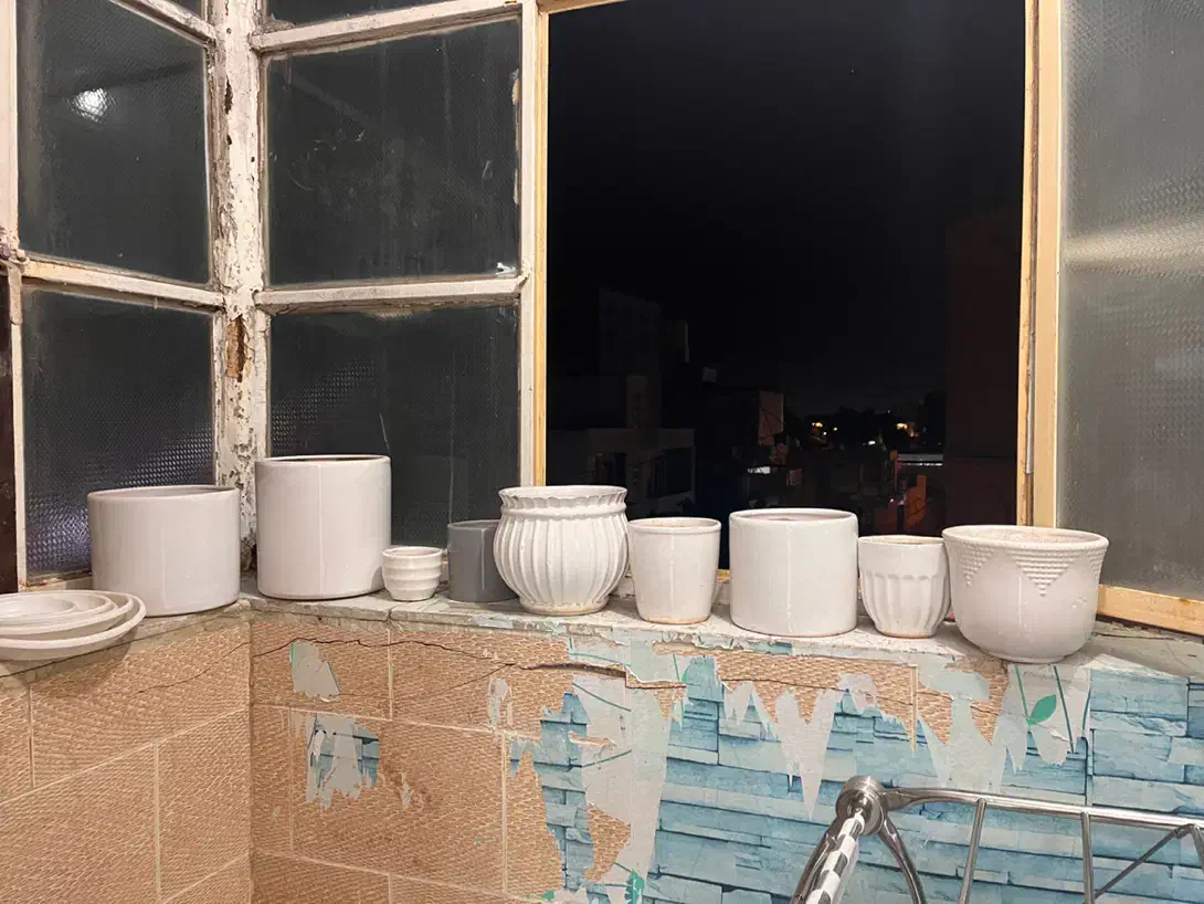 گلدان|گل و گیاه طبیعی|بوشهر, |دیوار