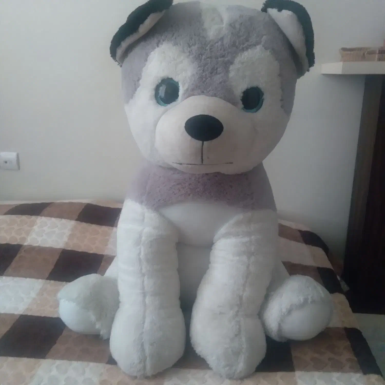 عروسک ترک نو|اسباب‌‌بازی|رودهن, |دیوار