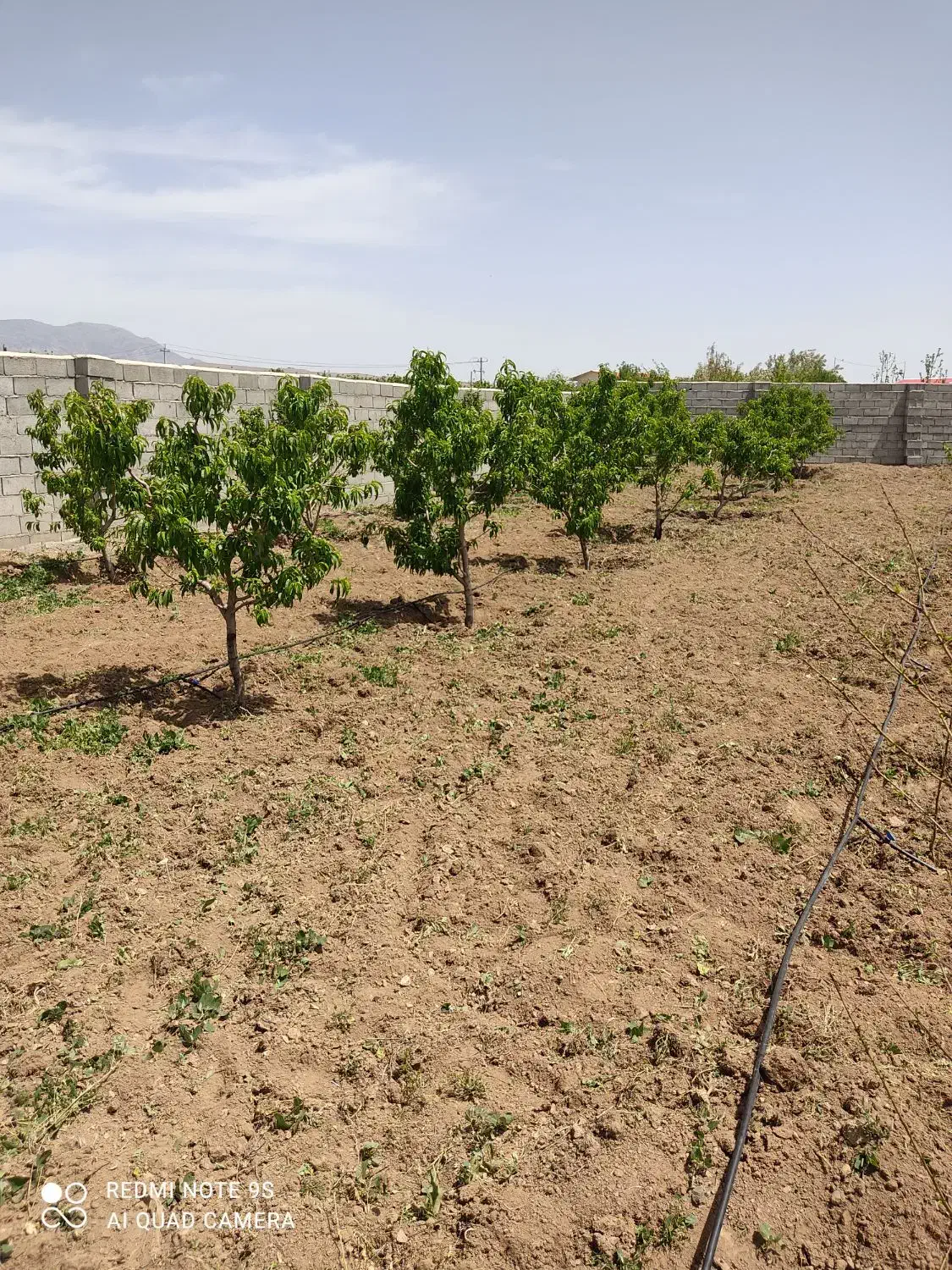 باغ ویلا تبریز شبستر|فروش خانه و ویلا|شبستر, |دیوار