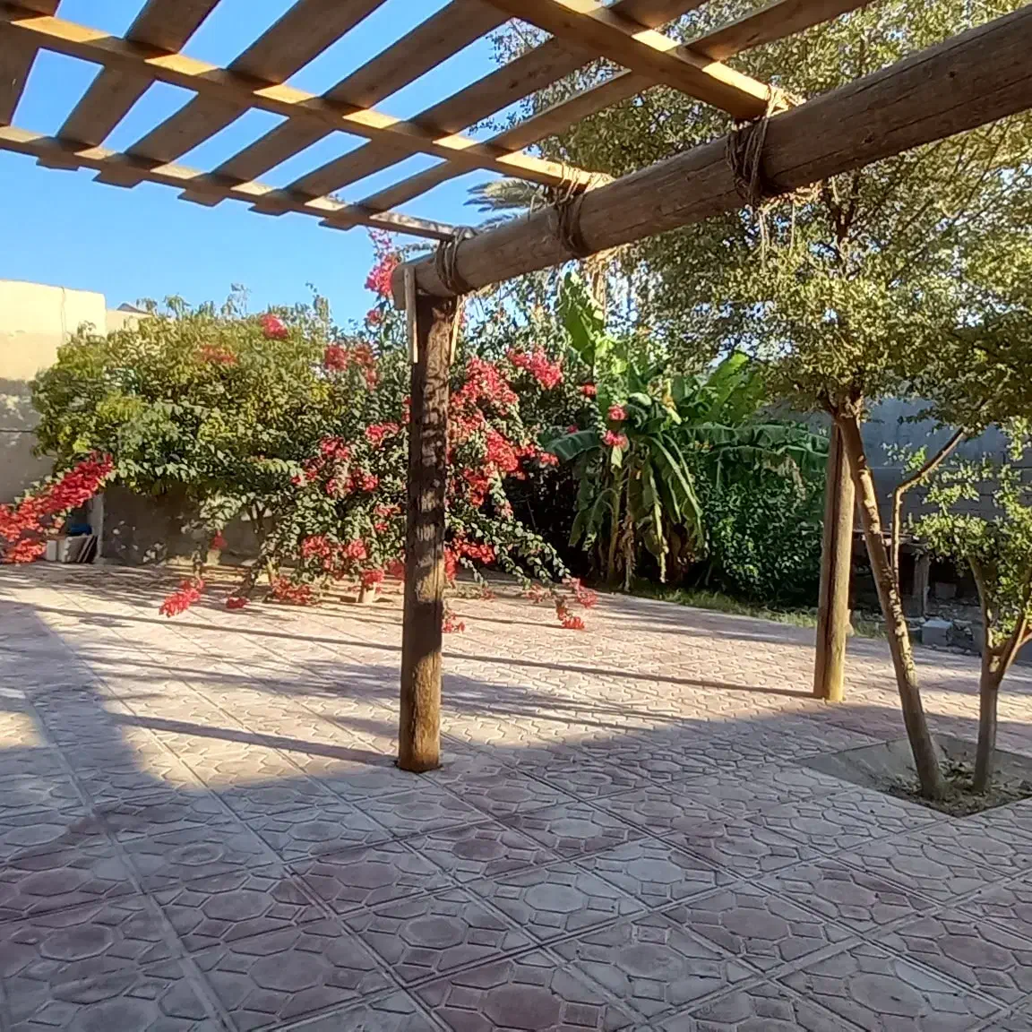 اقامتگاه گفاره در هرمز|اجارهٔ کوتاهمدت ویلا و باغ|هرمز, |دیوار