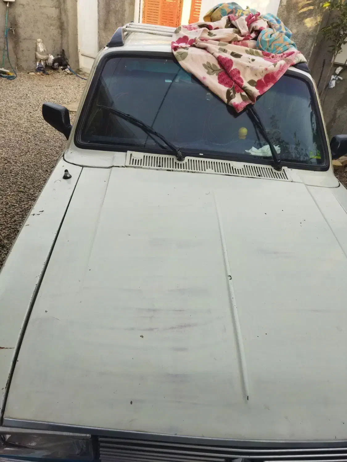 پیکان انژکتور۸۱|خودرو سواری و وانت|یاسوج, |دیوار