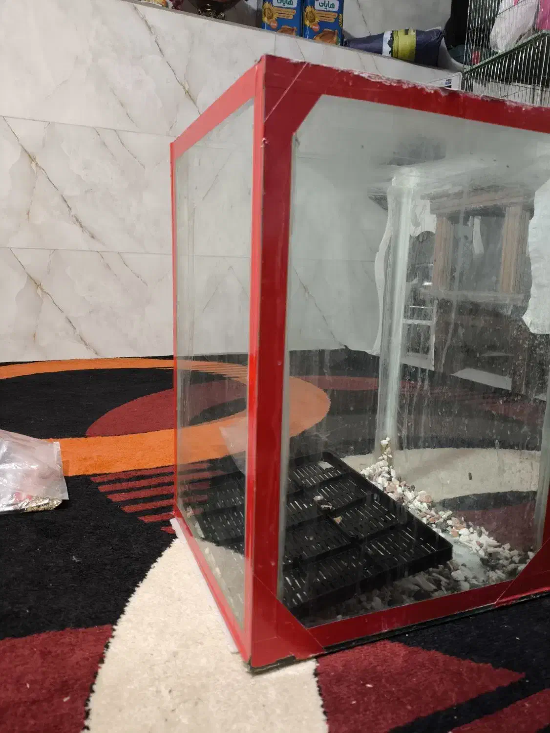 آکواریوم|لوازم جانبی حیوانات|سراب, |دیوار