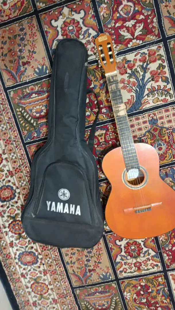 گیتار s10 به همراه کیف|گیتار، بیس، امپلیفایر|جهرم, |دیوار