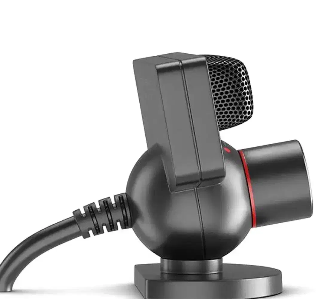 دوربین|آلات موسیقی|کنگاور, |دیوار