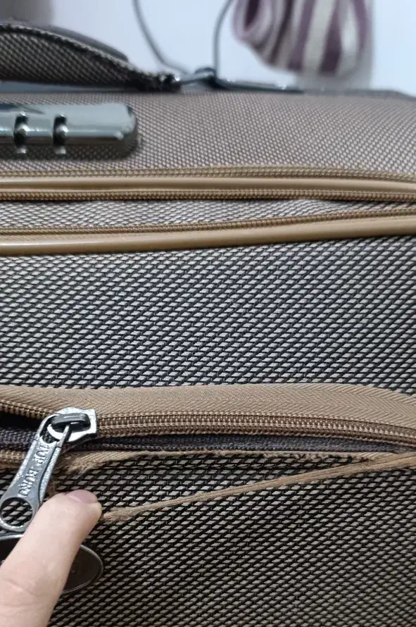 چمدان|کیف، کفش، کمربند|مریوان, |دیوار