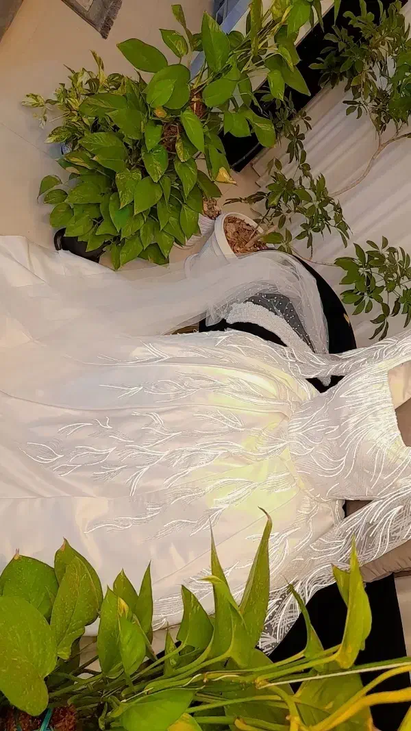 لباس عروس . نو.|لباس|قم, نیروگاه|دیوار