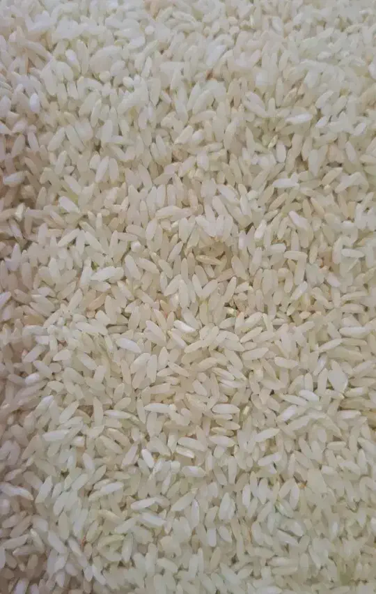 برنج محلی چمپا|خوردنی و آشامیدنی|میناب, |دیوار