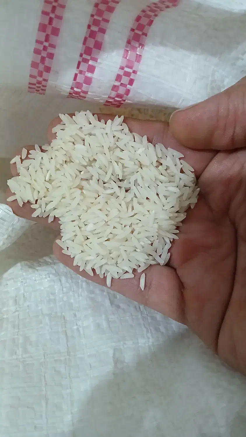 برنج طارم هاشمی درشت|خوردنی و آشامیدنی|آمل, |دیوار