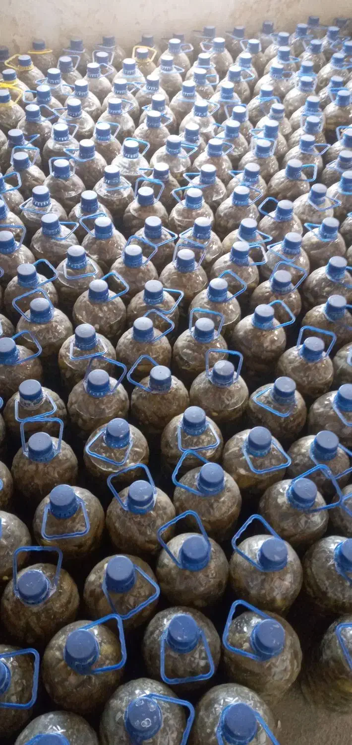 خیارشور‌اورگانیک|خوردنی و آشامیدنی|چنگ الماسی, |دیوار