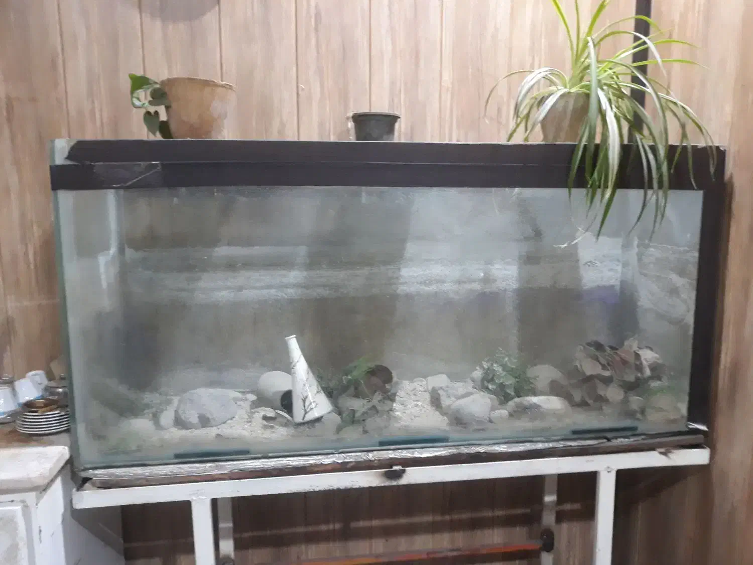 اکواریوم شیشه سکوریت چسب خارجی ۷۰ سانت در ۱۵۰|لوازم جانبی حیوانات|بجنورد, |دیوار