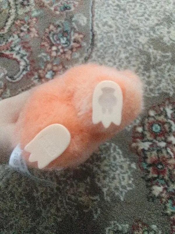 لبو بو|اسباب‌‌بازی|زنجان, |دیوار