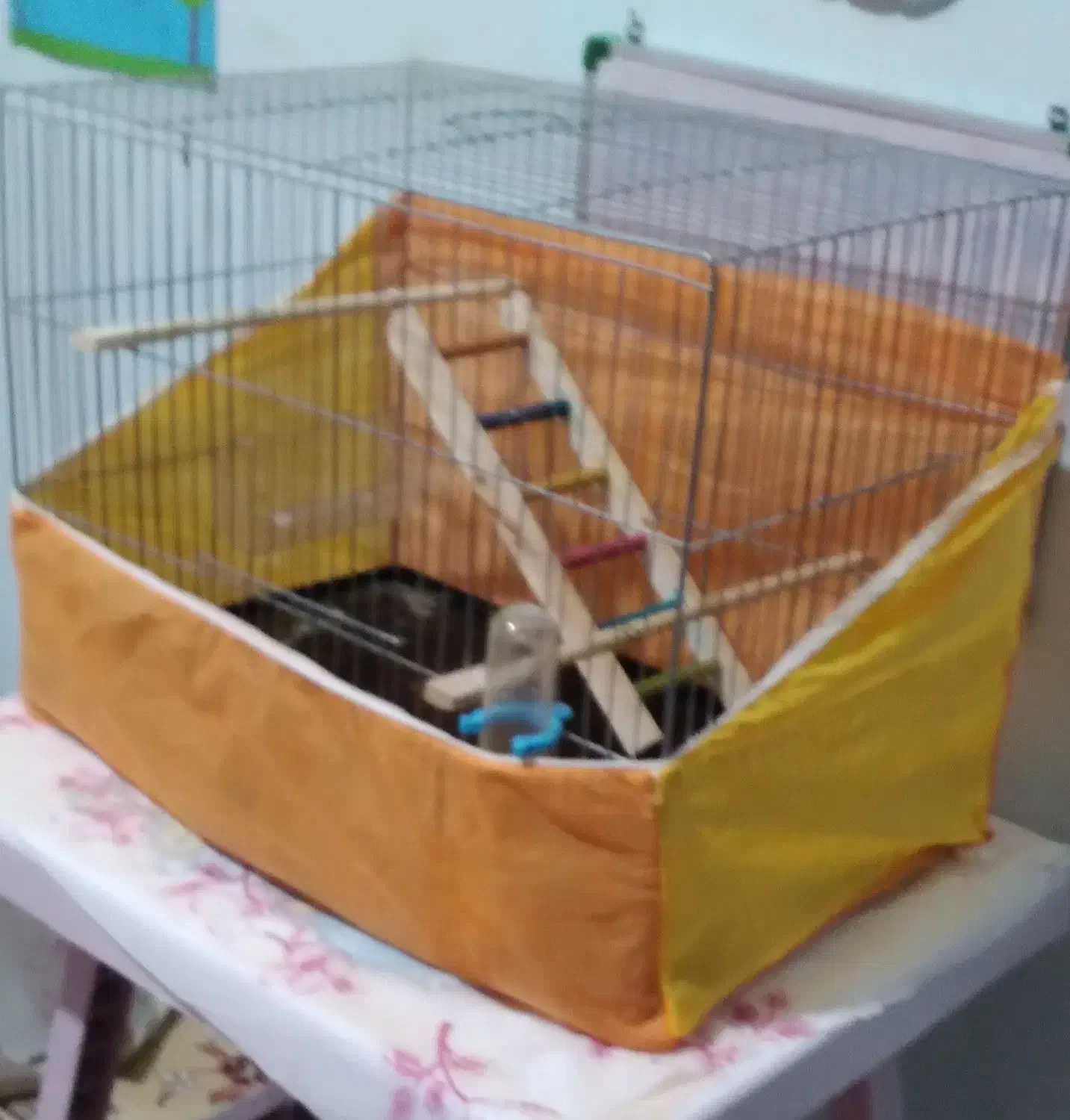 یک قفس بزرگ با وسایل نو|لوازم جانبی حیوانات|ساری, |دیوار